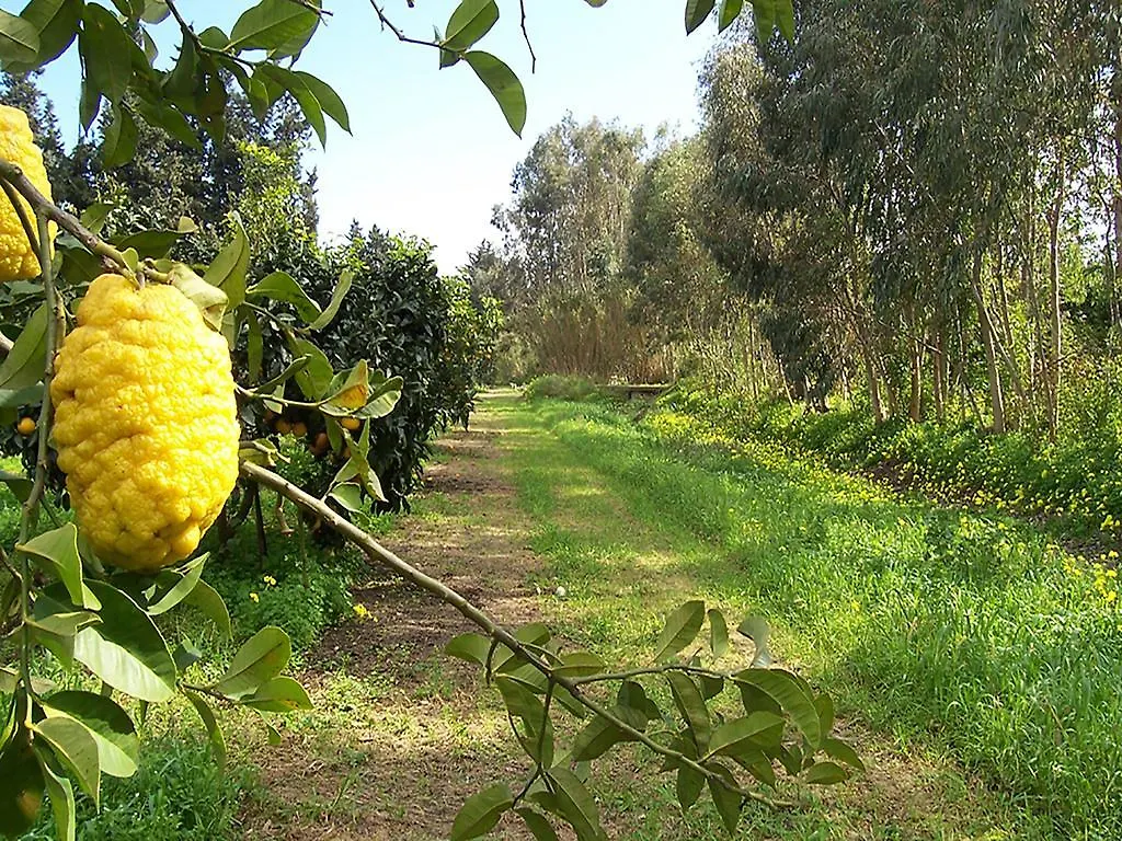 Luna&Limoni Country Muravera