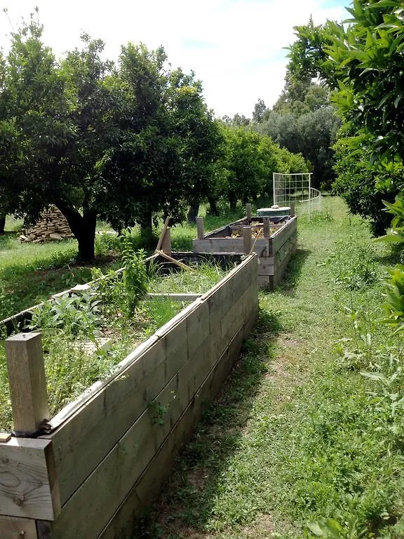 Vakantieboerderij Luna&Limoni Country Muravera Italië
