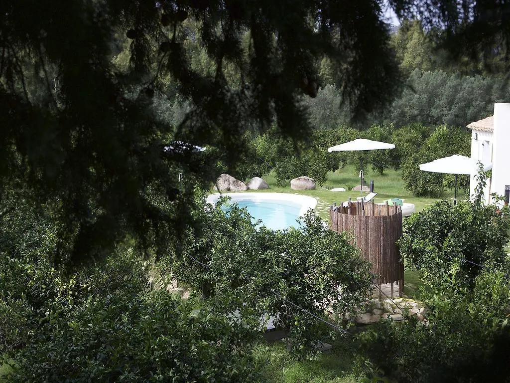 Farm stay Luna&Limoni Country Muravera